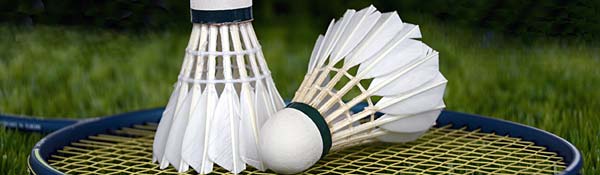Badminton in meiner Nähe finden