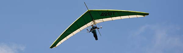 Drachenfliegen in meiner Nähe finden