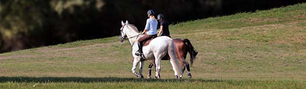 Reiten & Kutschfahrt in meiner Nähe finden