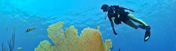 Tauchen in meiner Nähe finden